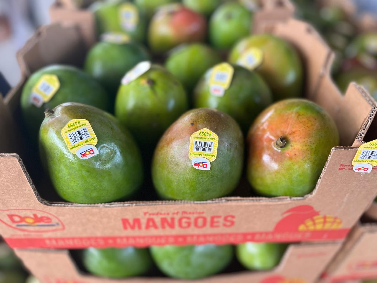Papaya & Mango